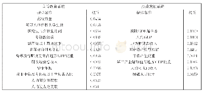 表2 两系统各项指标赋权结果