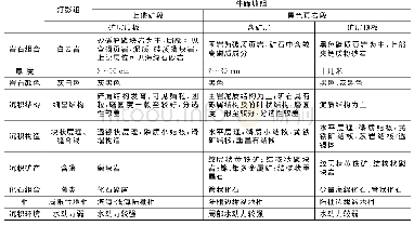 表2 瓮安北斗山矿区牛蹄塘组岩相组合特征