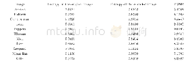 《Table 4 Calculated Shannon entropy for the simulated sample images.》