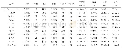 表1 不同莴笋品种主要植物学性状比较