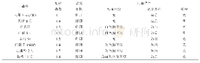 表2 参试厚皮甜瓜品种果形及果面特性比较