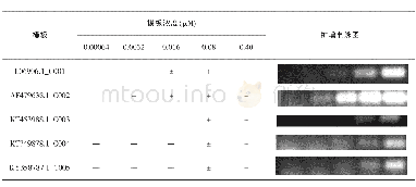 《表2 小反刍动物慢病毒PCR扩增方法对合成模板的敏感性测试》