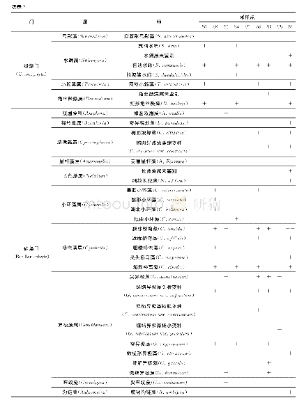 表2 各采样断面浮游植物种类组成