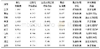 表6 2007—2017年武汉都市圈城镇化与生态文明建设的相对发展类型