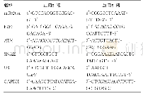 表1 用于RT-qPCR检测用的引物序列