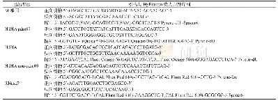 《表1 甲型流感病毒基因分型引物和HyBeacon荧光探针》