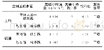 表2 服务水平表：株洲市东城大道至中环大道连接线总体方案设计