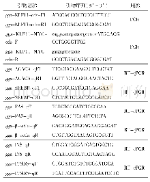 《表1 KLF11基因扩增及RT-qPCR所用引物信息》