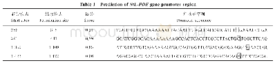 《表2 StL-PDE基因启动子区域预测》