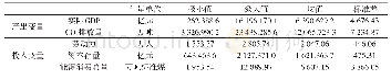 表2 产出变量和投入变量的描述统计