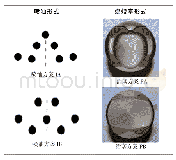 《表1 喷油和燃烧室设计方案》