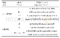 表1 克隆所用引物：桑树miR166f的表达分析及双元超表达载体的构建