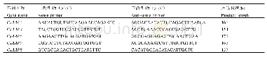 《表2 荧光定量PCR引物》