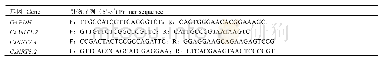 表1 q RT-PCR荧光定量引物序列的信息