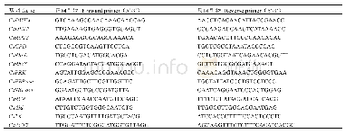表1 RT-q PCR引物序列