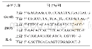表1 内参及目的基因荧光定量PCR反应的引物序列
