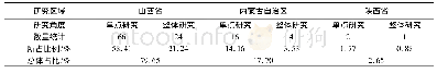 表2 晋语大包片单点与整体语法研究内容数量统计