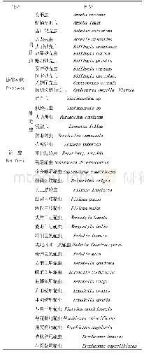 表1 哈素海浮游动物名录