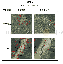 《表4 试验区自动解译可利用地表覆盖要素效果图》