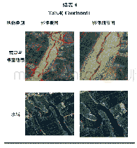 《表4 试验区自动解译可利用地表覆盖要素效果图》