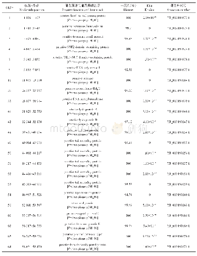 表3 噬菌体vB＿EcoP＿E21蛋白功能预测