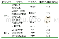 表1 各病毒PCR扩增片段长度