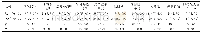 表1 两组患者超声图像特征比较[n(%)]