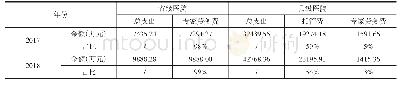 表4 2017年-2018年“双下沉、两提升”省级和县级医院支出情况