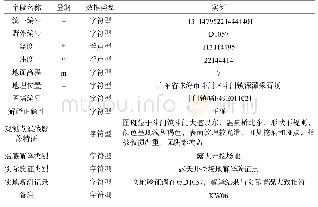 表3 遥感野外检查验证记录表