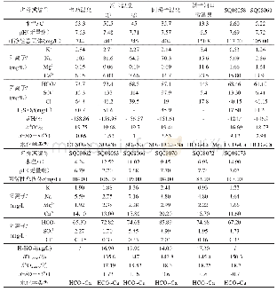 表2 沃卡地堑出露温泉水文地球化学成果