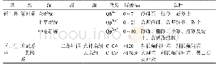 《表5 综合地层柱状剖面表》