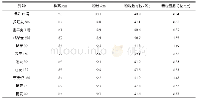 表3 不同品种小麦株高与穗型结构