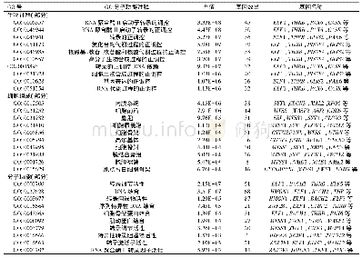 表2 miR-206靶基因的GO功能分析