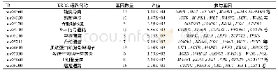 表3 miR-206靶基因KEGG通路富集分析结果