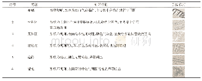 表3 不同地物要素解译标志