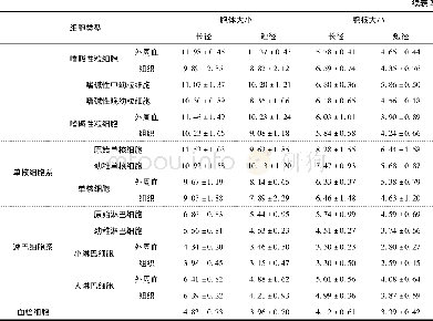 《表2 似鲇高原鳅外周血及组织中血细胞及其核的大小 (平均值±标准差) Tab.2 Cell and nucleus sizes of various haematopoietic cells in