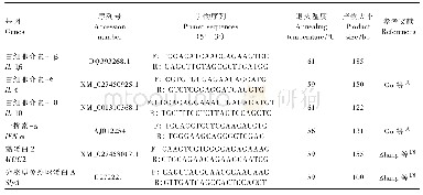 表2 实时荧光定量PCR引物