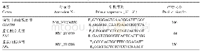 表2 实时荧光定量PCR引物序列