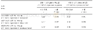 表5 仔猪空肠和回肠xCT蛋白与mRNA表达量的相关性