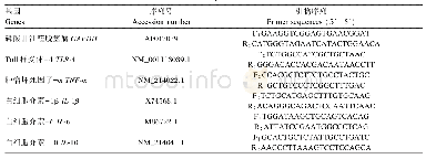 表2 实时荧光定量PCR引物序列