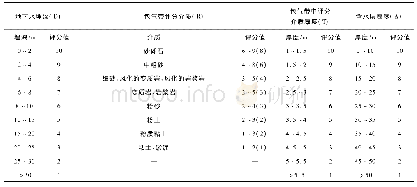 《表2 指标分级(分类)及指标评分》