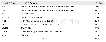 表2 与人HCN1蛋白相互作用可能性较大的10种蛋白