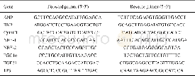 《表1 引物序列Tab.1 Primer sequence》