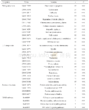 表3 BUB1和相关基因的GO功能注释和KEGG通路富集