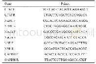 表1 用于qRT-PCR的引物序列