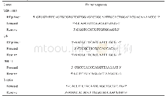 表1 mi R-4443,PEBP1,U6 andβ-actin的引物序列