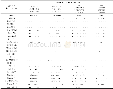 《表2 N基因序列比较Table 2 Comparison of N gene sequences》