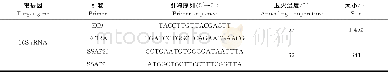 《表1 PCR引物序列：新疆昭苏县马感染嗜吞噬细胞无浆体血清学与分子生物学调查》