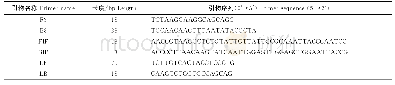 《表1 隐孢子虫18SrRNA基因的LAMP引物》