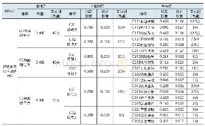 表2 跨境电商创业胜任力评价指标体系